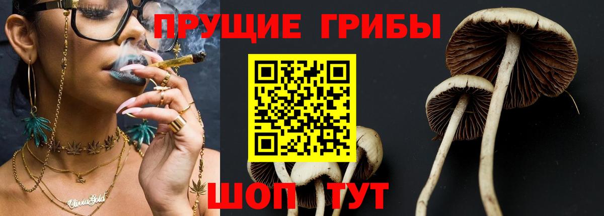 Псилоцибиновые грибы MAGIC MUSHROOMS  Вход с VPN  наркота  Уварово 